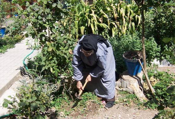 Vida en Comunidad · 8